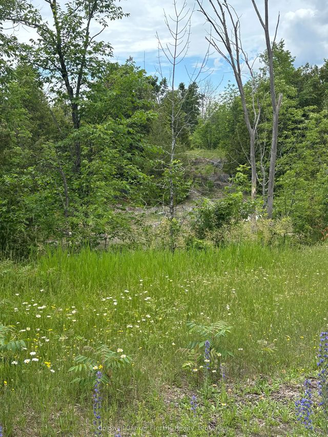 Tower Road, Madoc