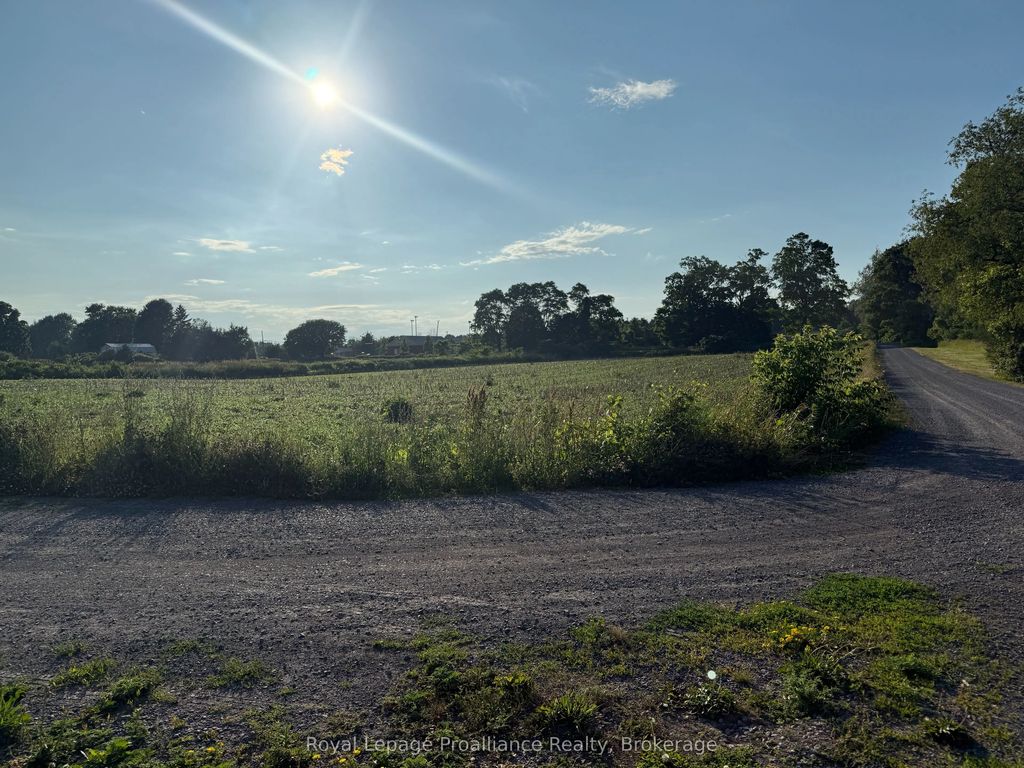 County Road 8 N/a, Prince Edward County