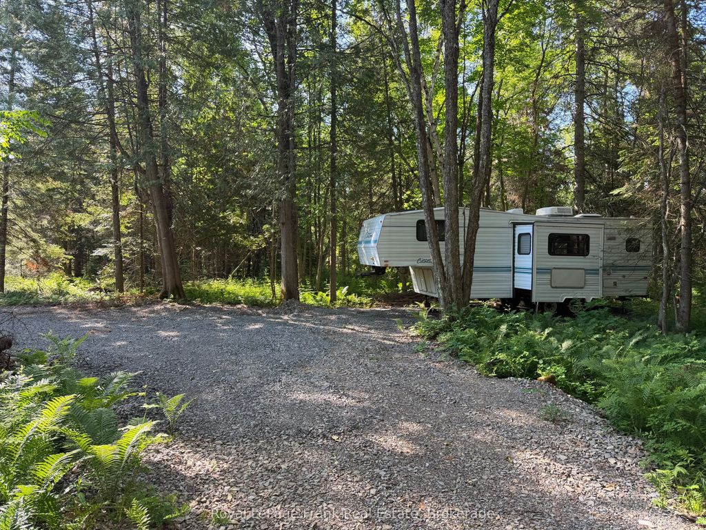 Pt Lt 13 Con 8 Road, Wollaston