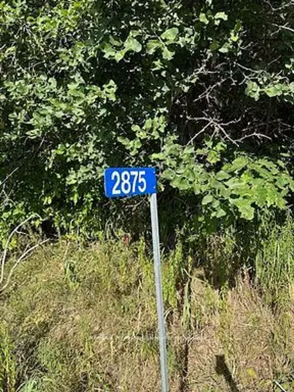 2875 County Road 21 Road, Minden Hills