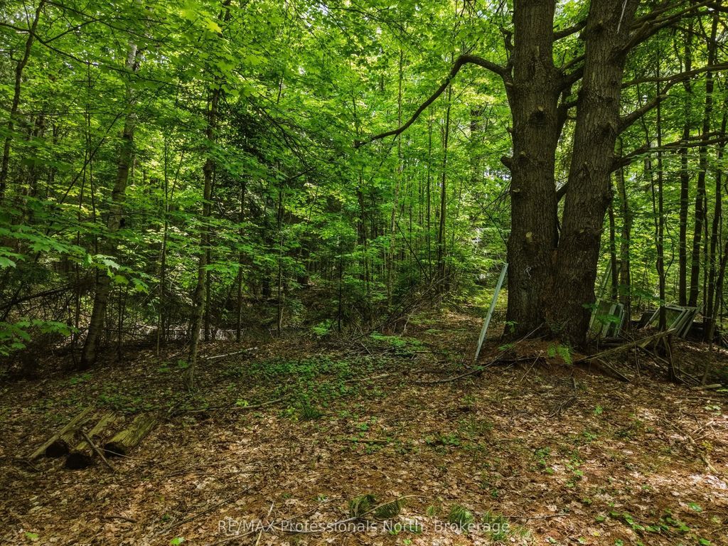 2445 Manitoba Street, Bracebridge