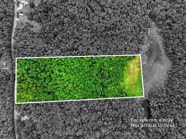 Lot 1 Bird Lake Road, Bracebridge