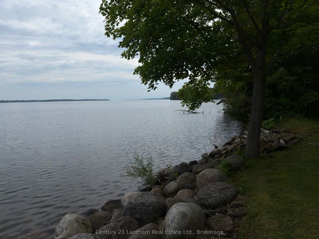 84 Mosquito Lane, Prince Edward County