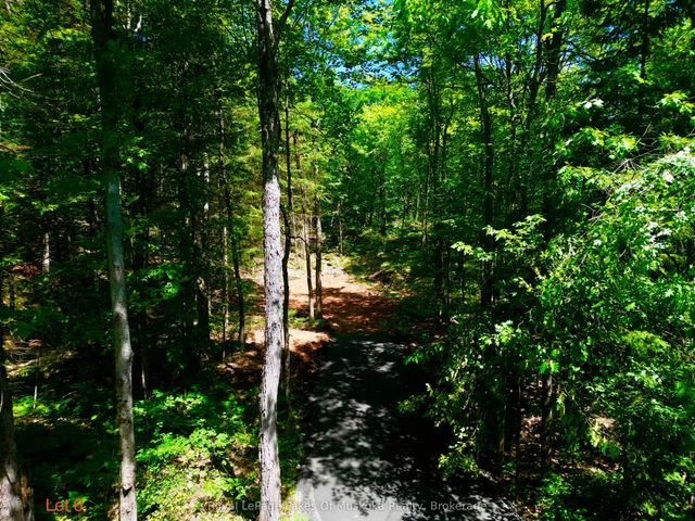 Lot 6 Fairy Falls Road, Lake of Bays