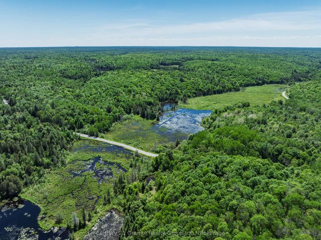 Brady Lake Road, Algonquin Highlands