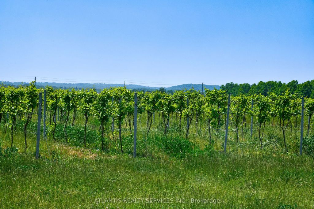 497 Line 5 Road S, Niagara-on-the-Lake