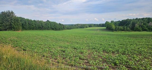 521268 Concession 12 N/a N, West Grey