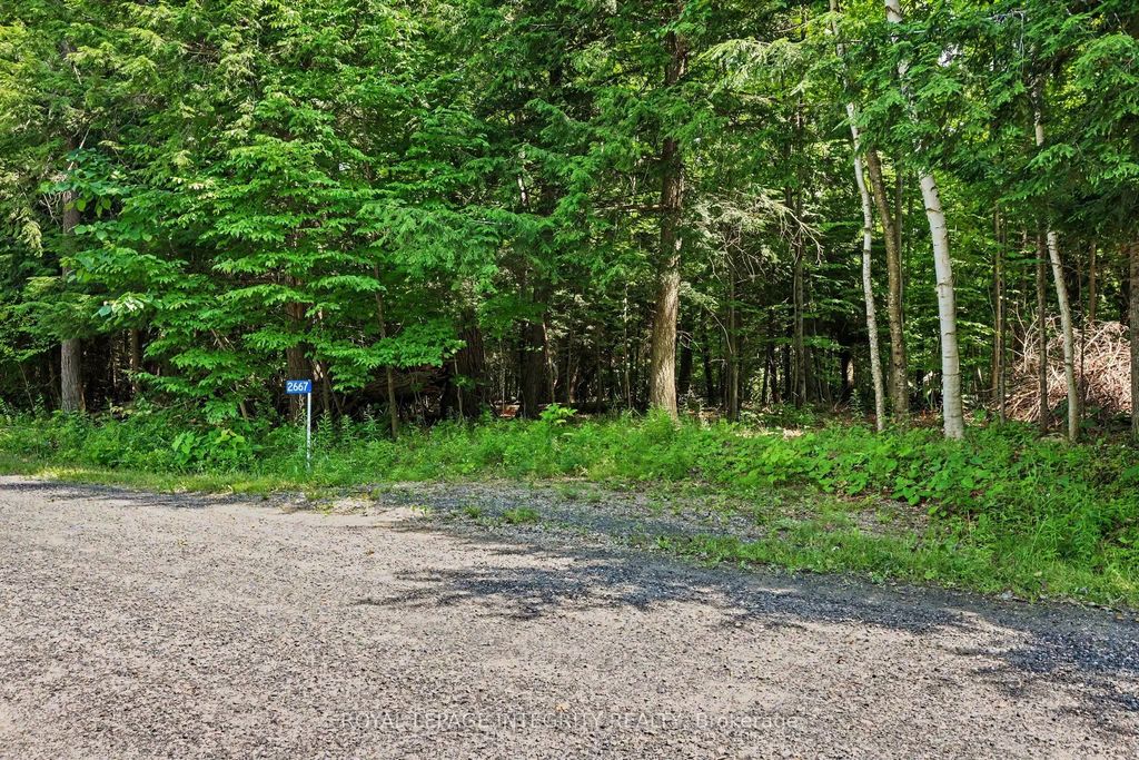 2667 Palmer Road, Tay Valley