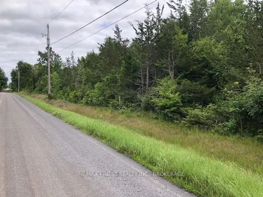 590 Love Road, Loyalist