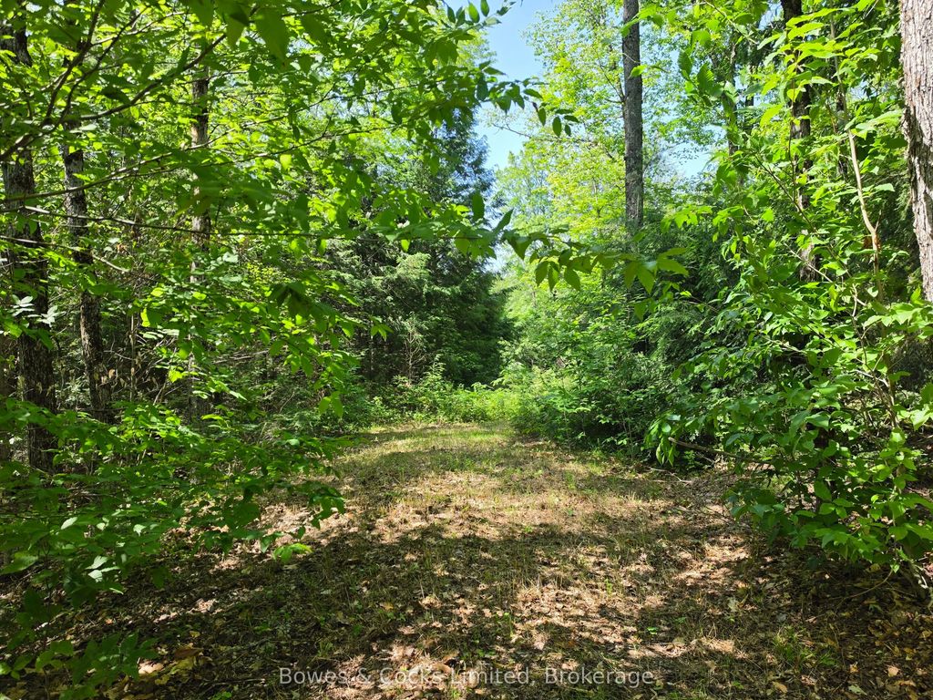 1160 Balmer Road, North Kawartha
