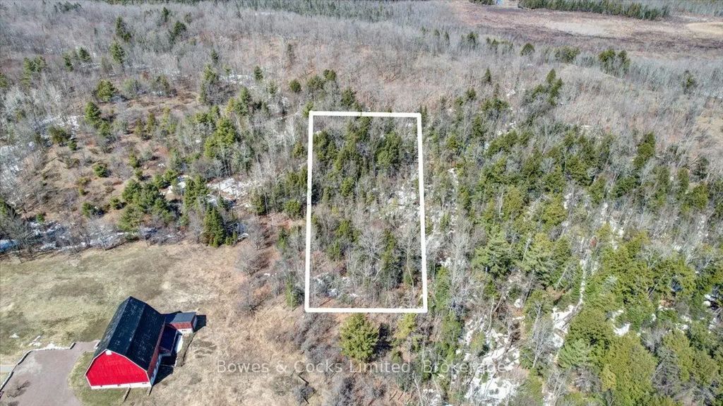 Centre Line Road, Marmora and Lake