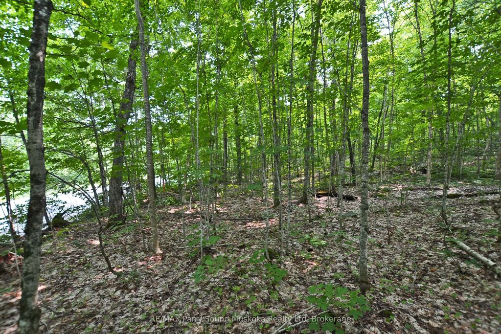 Lyndsey Lane Part 1, McKellar