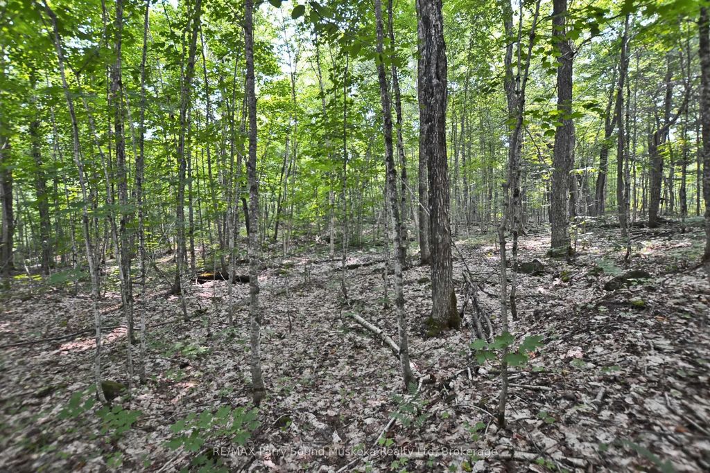 Lyndsey Lane Part 2, McKellar