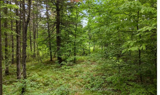 Lot 16 Echo Lake Road, Frontenac