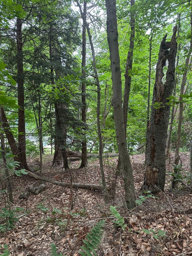 Silver Rock Lane, Frontenac