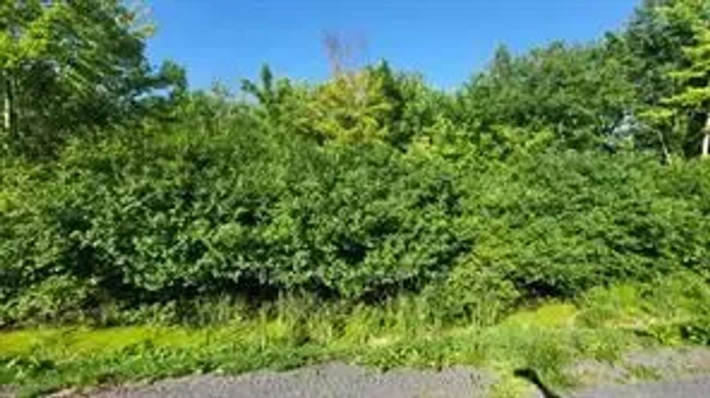 Lot 7 Plan 246 Tolmies Corners Road, North Stormont