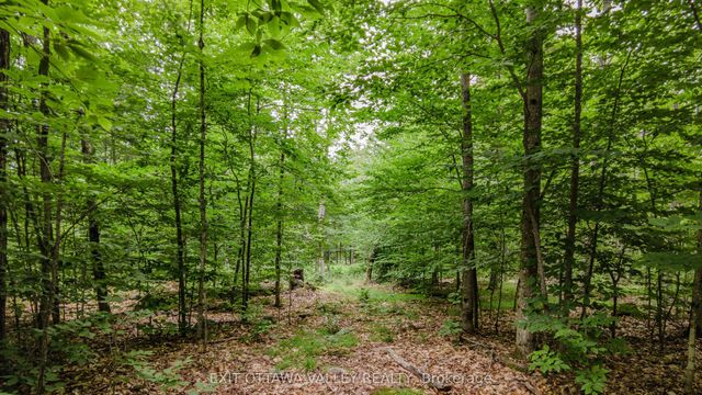 Peplinskie Road, Madawaska Valley