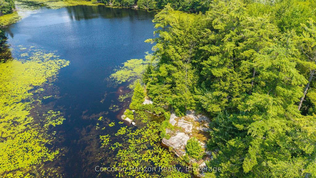 Lt 14 Hungry Bay Road, Georgian Bay