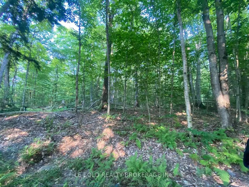 1310 Camel Lake Road Lot # 7, Muskoka Lakes