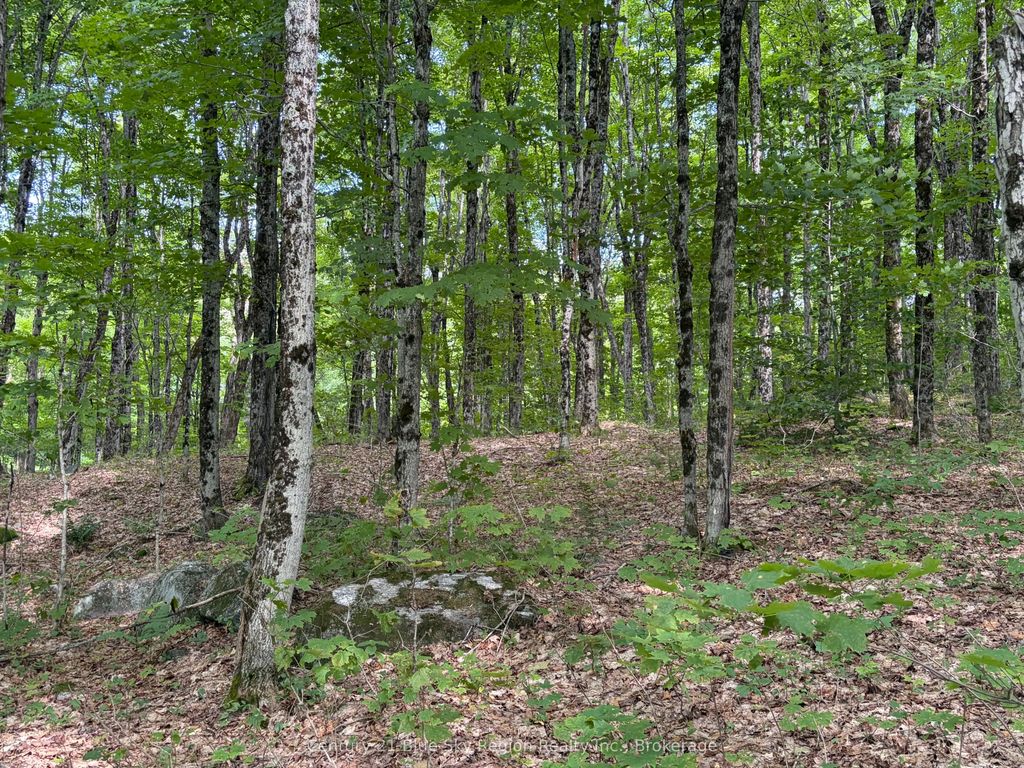 Part Lot 11 & 12 Chikopi Road, Magnetawan