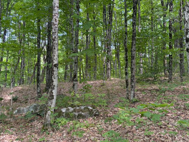 Part Lot 11 & 12 Chikopi Road, Magnetawan