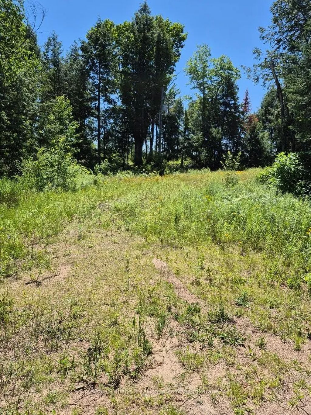 Lot 15 North Steenburg Lake Road, Wollaston