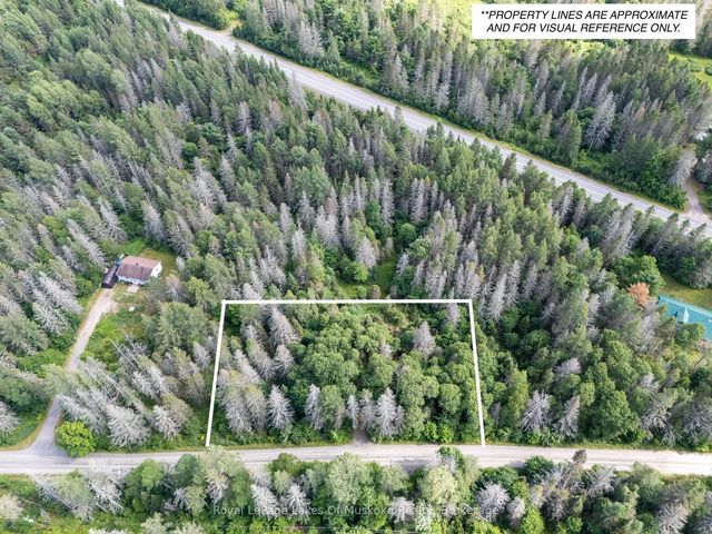 77 Grindstone Road, Magnetawan