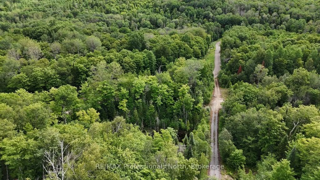1199 Cedar Lake Road, Highlands East