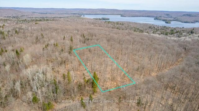 99 Forest View Road, Bancroft