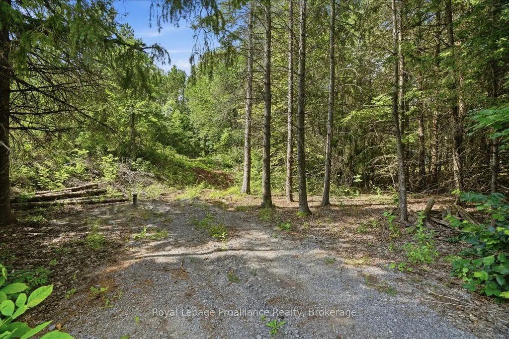 Otter Creek Road, Tweed