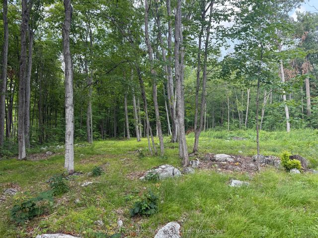554 Pigden Road, Madoc