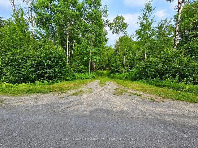 1446 Flinton Road, Tweed