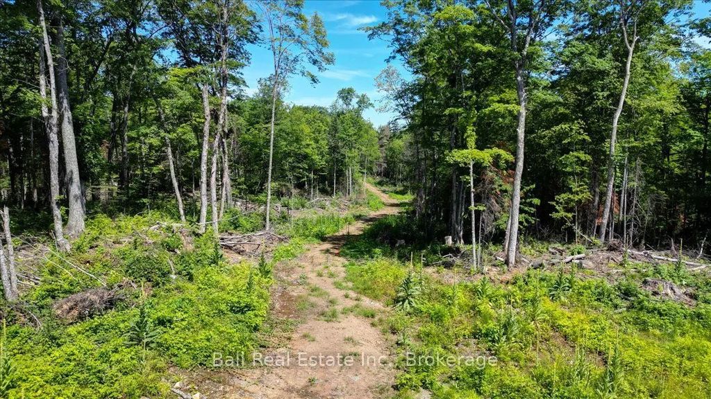 691 Bush Road, North Kawartha