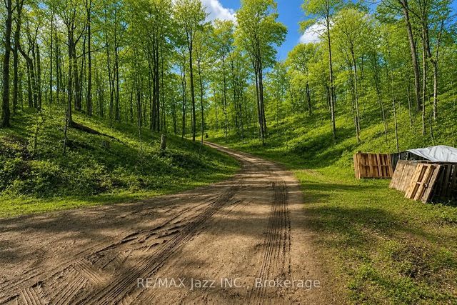 1091 Crystal Lake Road, Trent Lakes