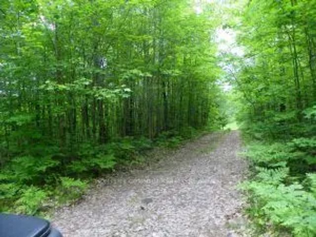 50 Acres In Muskoka North Of Bala - Pcl 31045 N/a, Muskoka Lakes