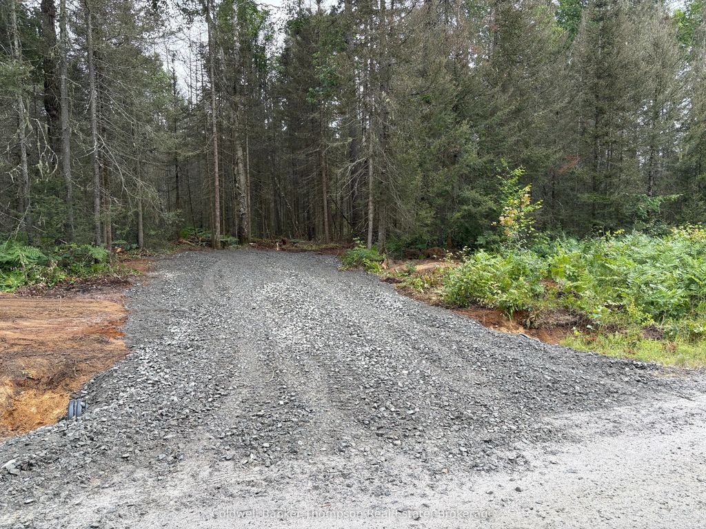 818 Sand Hill Road, Joly