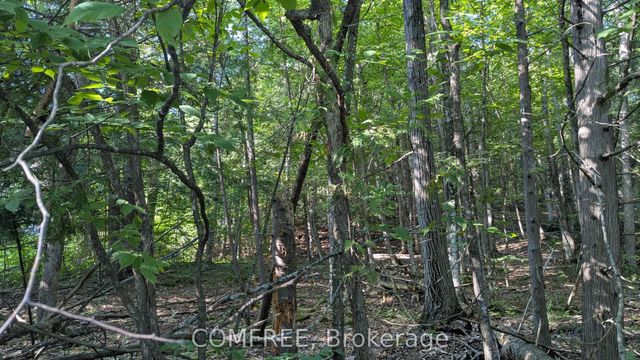 4853 Opeongo Road, Constance Bay - Dunrobin - Kilmaurs - Woodlawn