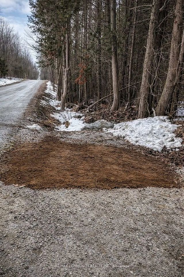 Baxter Road, Trent Hills