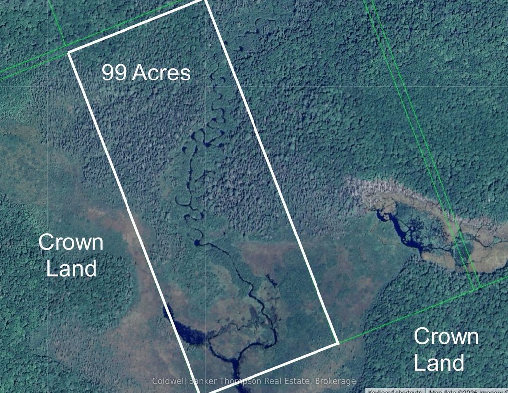 Lot 12 Con 2 N/a Trail, Lake of Bays