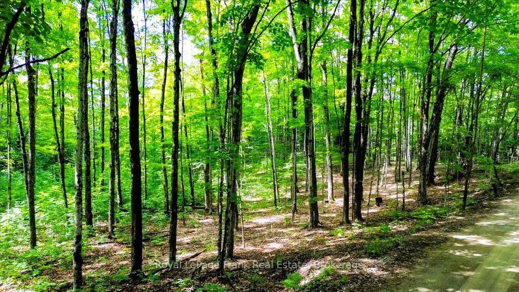 North Rusaw Road, North Kawartha