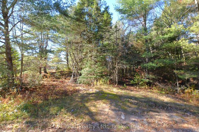2 Parker Bay Road, Whitestone