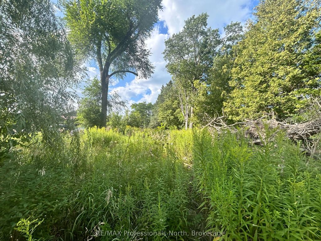 4437 Highway 7 N/a, Kawartha Lakes