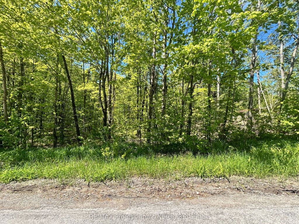 Trillium Lane, Trent Hills