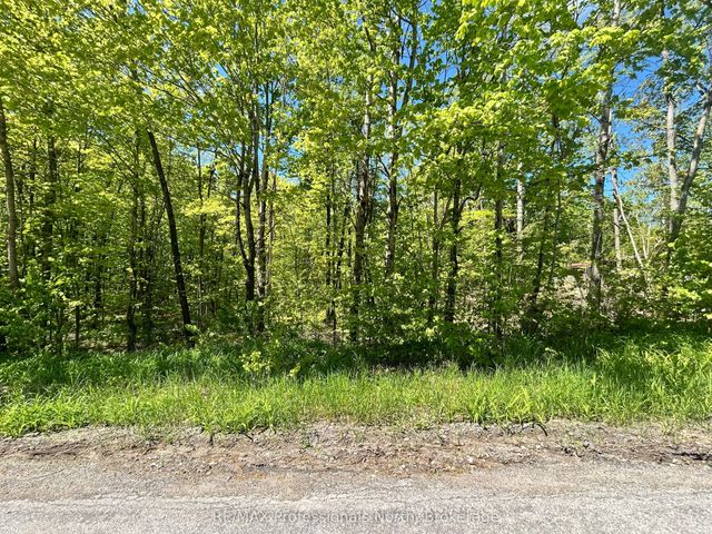 Trillium Lane, Trent Hills