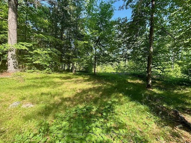 2495 Flinton Road, Addington Highlands
