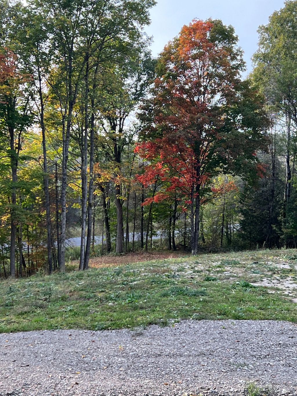 1054 Centre Line Road, Marmora and Lake