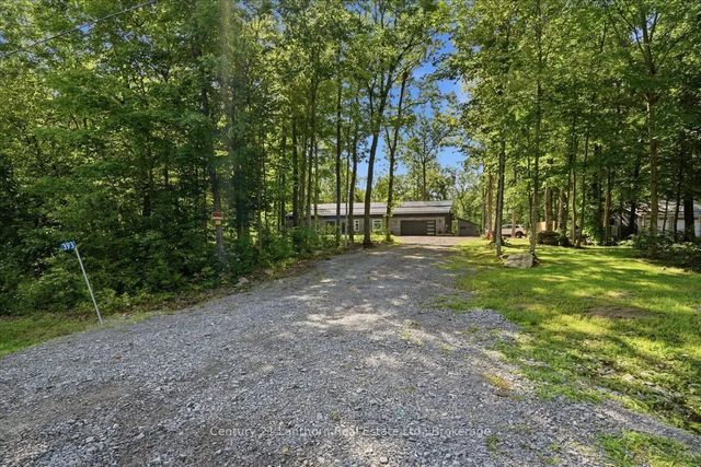 393 Wood Road, Centre Hastings