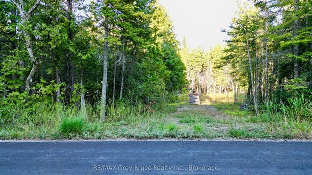 8 Devils Glen, Northern Bruce Peninsula