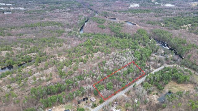 2493 Housey's Rapids Road, Kawartha Lakes