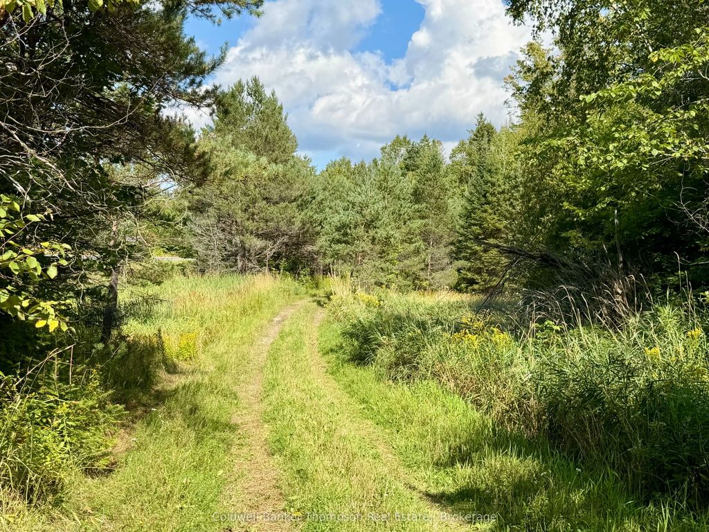 Lot 13 Hwy 522 Highway W, Parry Sound Remote Area
